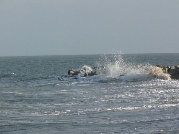 oleron--159.JPG