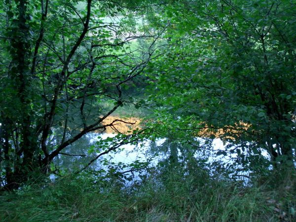 Rencontres sauvages porte doree