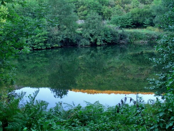 Rencontres sauvages porte doree