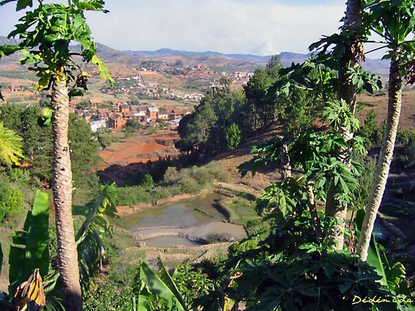 Fianarantsoa 0516 [640x480]