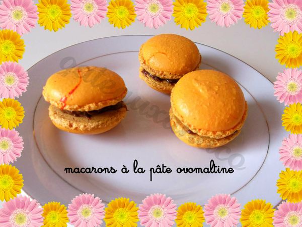 macarons-a-la-pralinoise.jpg