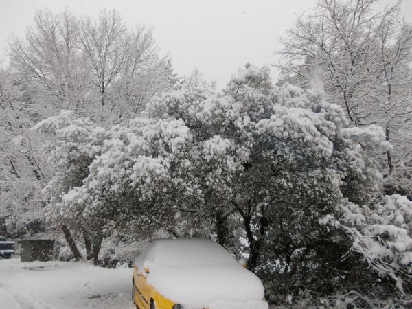 DSCN0791.JPG