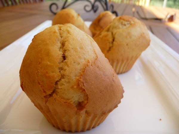 muffin gonflé nature