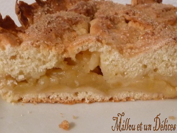 gâteau fourré aux pommes light façon basque de millou et un délices