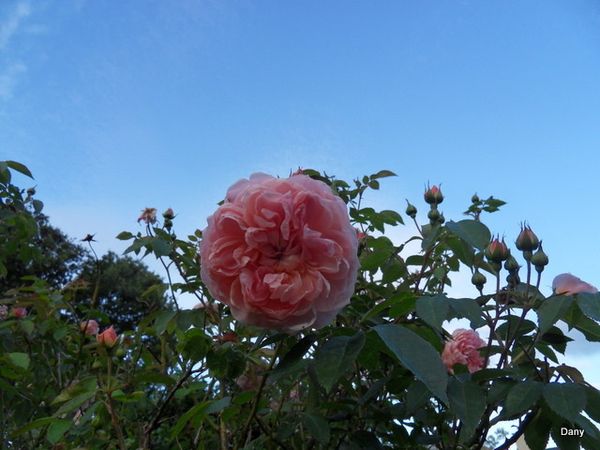 SDC14641.JPG