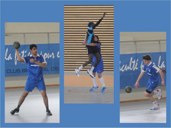 SERRIS031