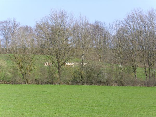 les terres de chaux Le blog de gilles90
