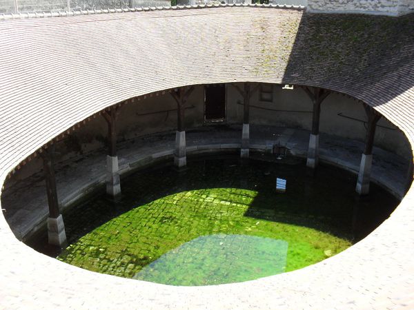 8-015.jpg