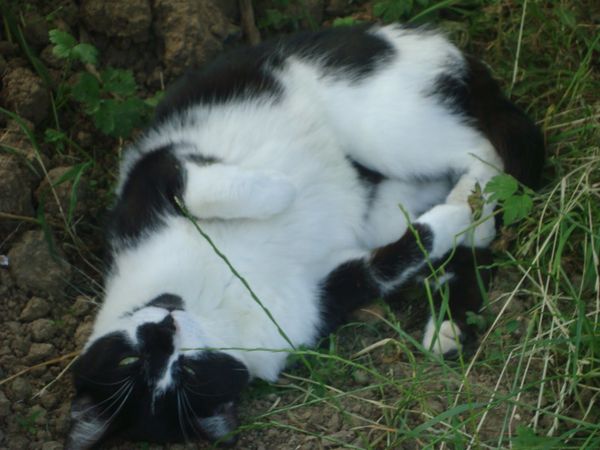 DSC07864.JPG