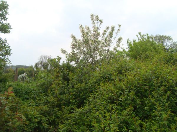 DSC05889.JPG