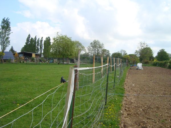 DSC06114.JPG