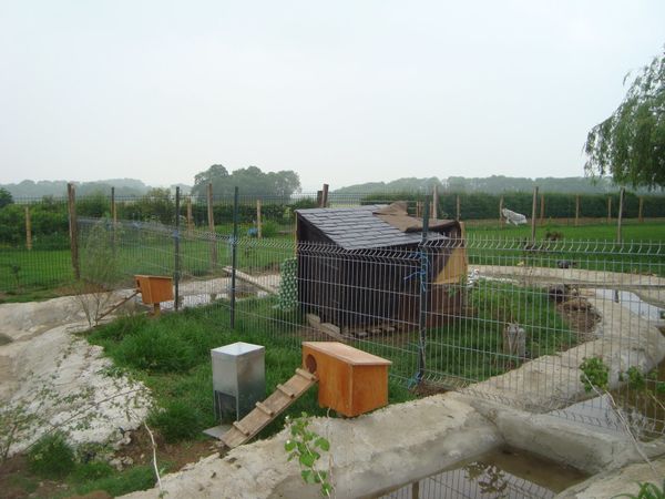 DSC06254.JPG