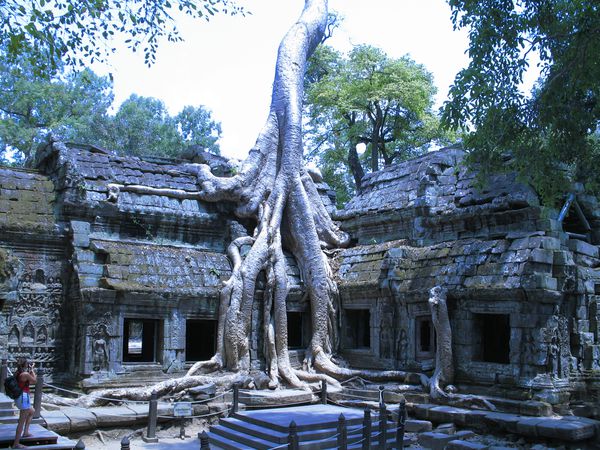 Angkor 2756