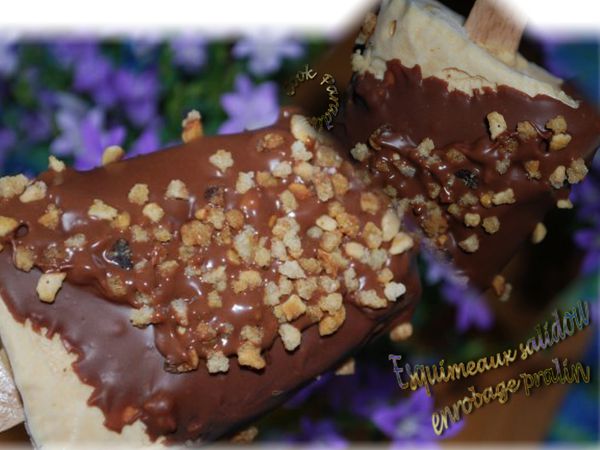 esquimeaux-salidou-pralin-couverture-choco-noir.001.jpg