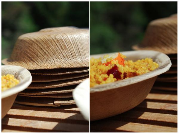 assiettes-vegetales.001.jpg