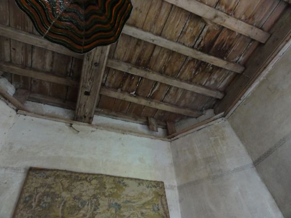 DSC00314.JPG