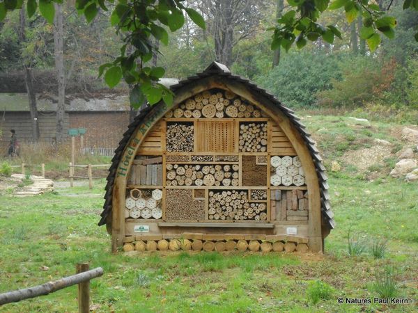 Hotel nichoir pour abeilles et insectes pollinisateurs (4)