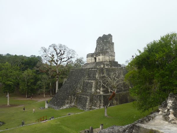 P1050976-Tikal.JPG