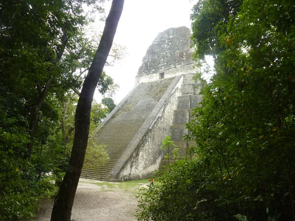 P1060023-Tikal.JPG