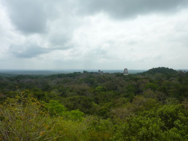 P1060054-Tikal.JPG