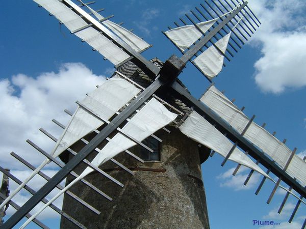 photo moulin