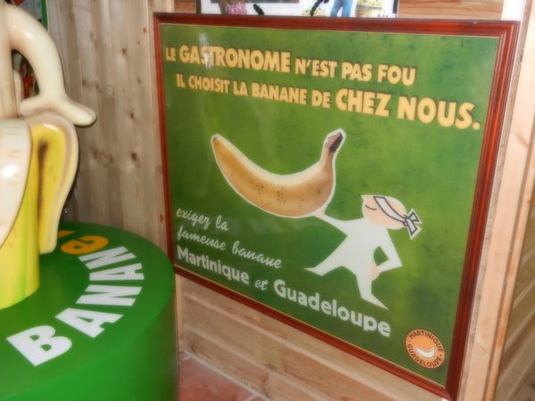 musee de la banane (3)