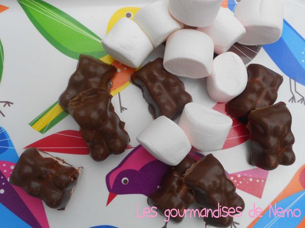 nounours-guimauve--1-.JPG