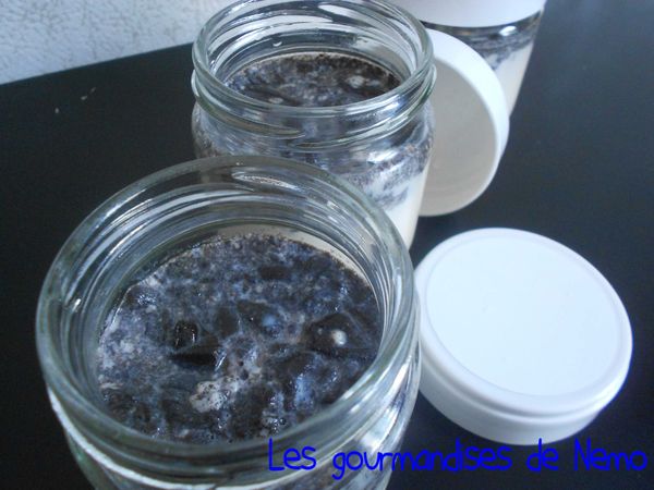 yaourts-oreso--1-.JPG