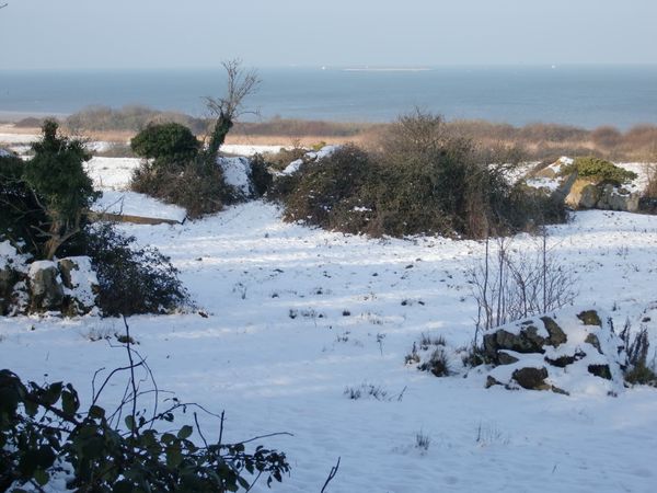 Normandie-12-janvier-2010-002.JPG