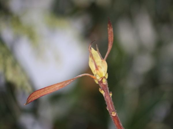 Photographie 0347