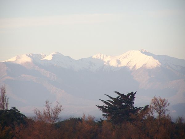Etang janvier2112 006