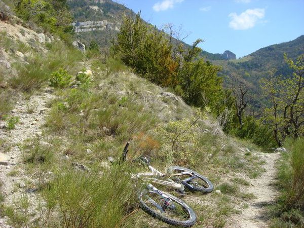 Sentier montant à mis parcours (plateau de La Pâle ?)