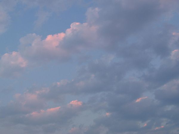 saurat-07-011.jpg
