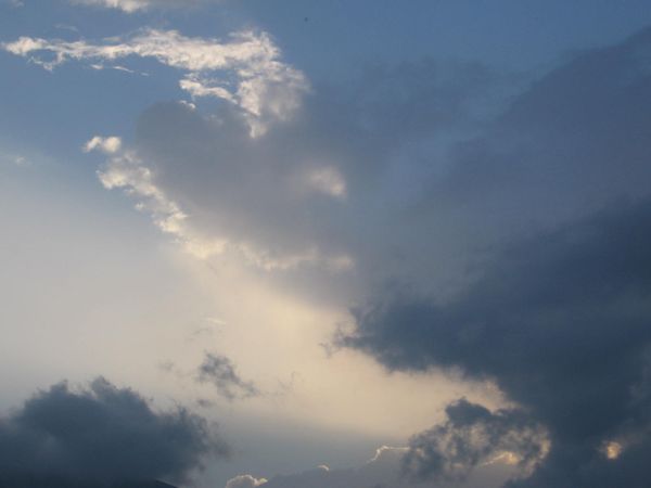 saurat-07-080.jpg
