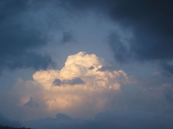 saurat-07-081.jpg