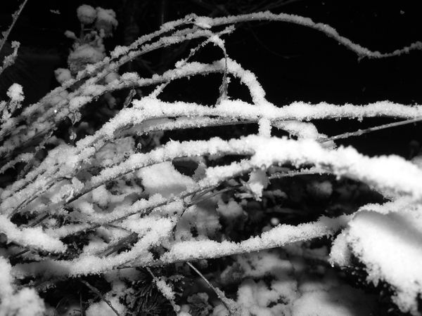 25 nov 2010 premiers flocons de neige