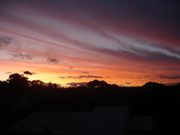 DSC04636