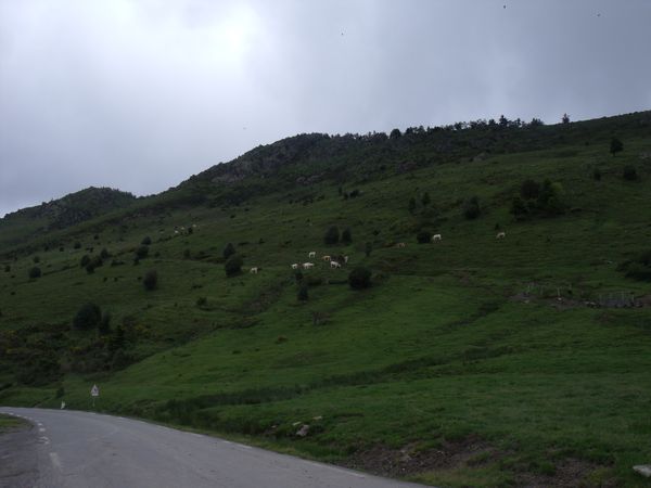 Photos col d'Aspin le 11 juin 2011 009