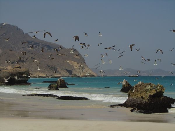 2012-10-Oman 0601