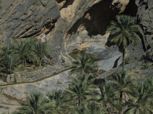 2012-10-Oman 0694