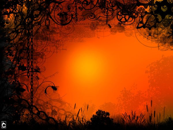 wallpaper modern copie 2-copie-1