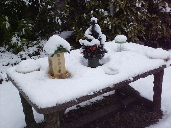 C'est l'hiver7