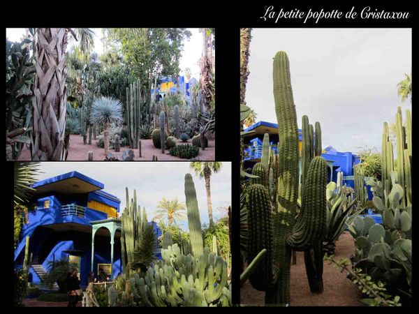majorelle2.jpg