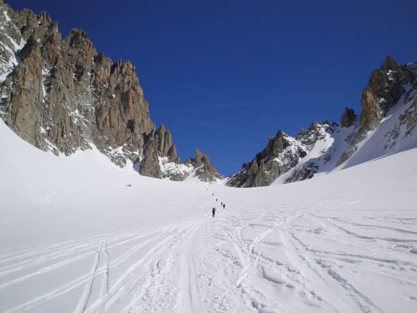 2010-04-09chardonnet04