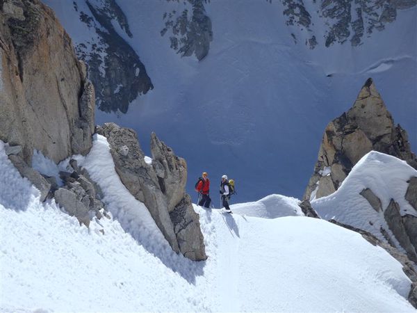 2011-04-20 chardonnet 08