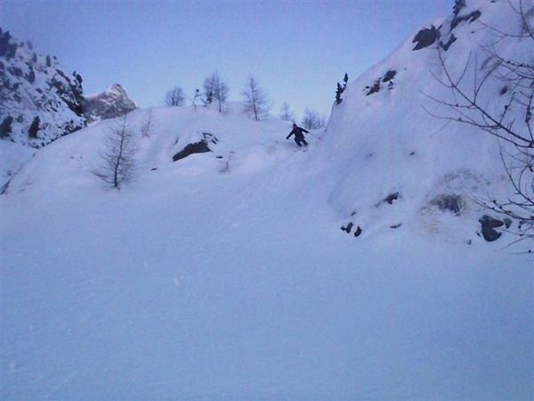 Cosmiques 11