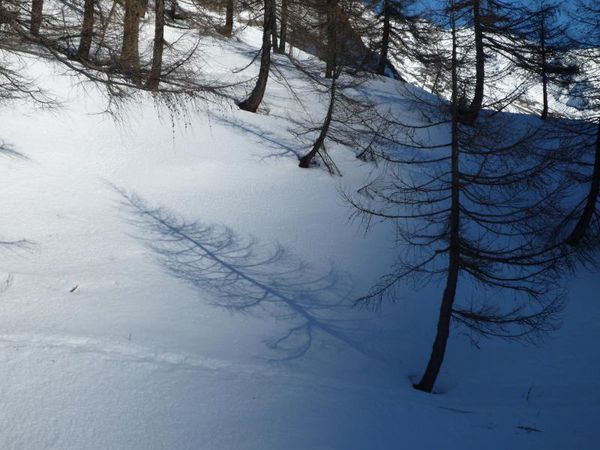 2011-02-02 magehorn 2