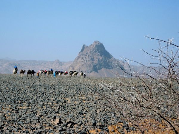 2010-05 hoggar 02