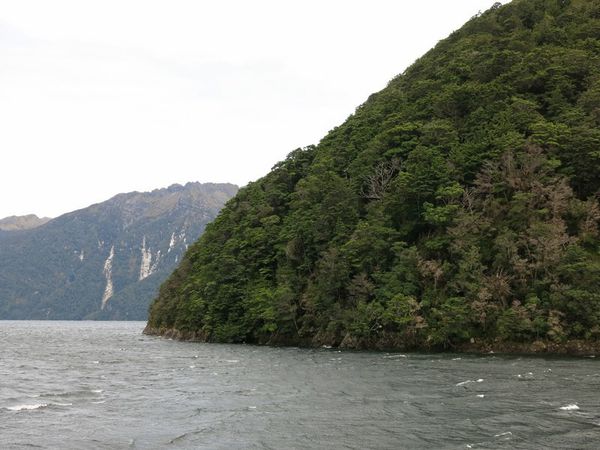 croisiere-doubtfulsound 2970 (Copier)