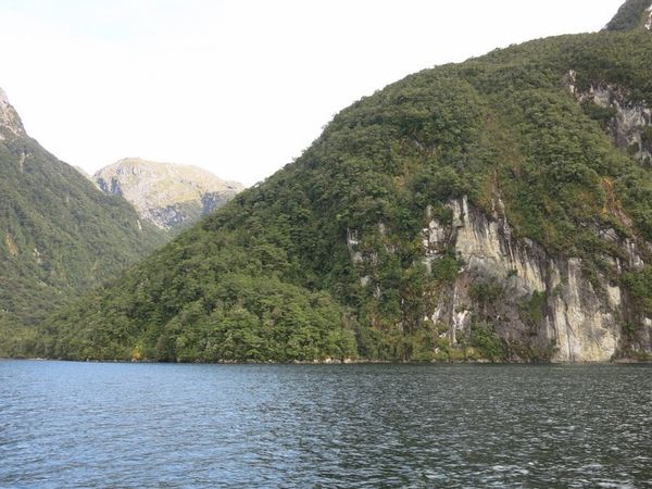 croisiere-doubtfulsound 3006 (Copier)